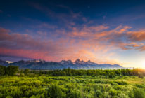 Montana Yellowstone