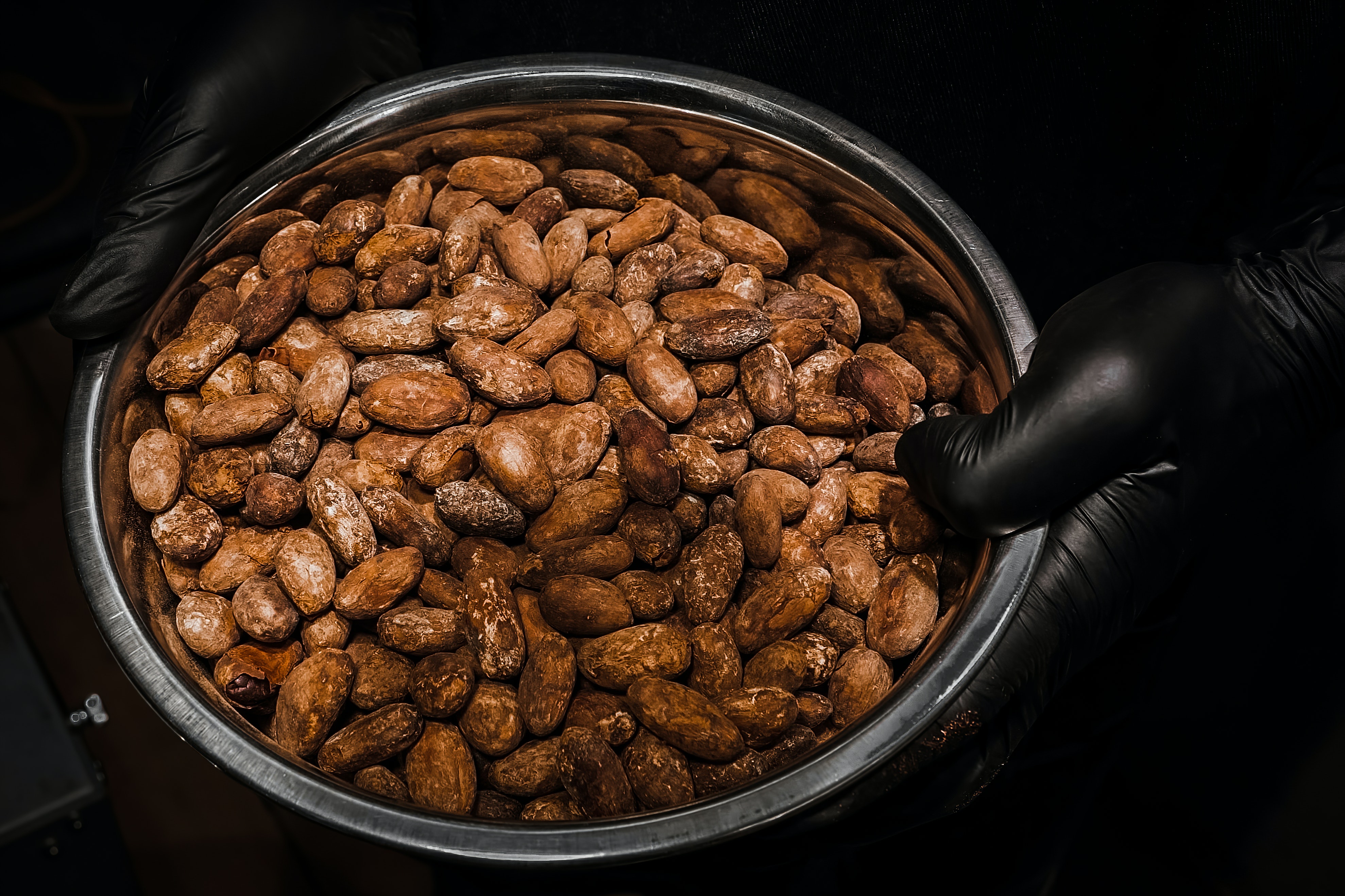 cocoa beans
